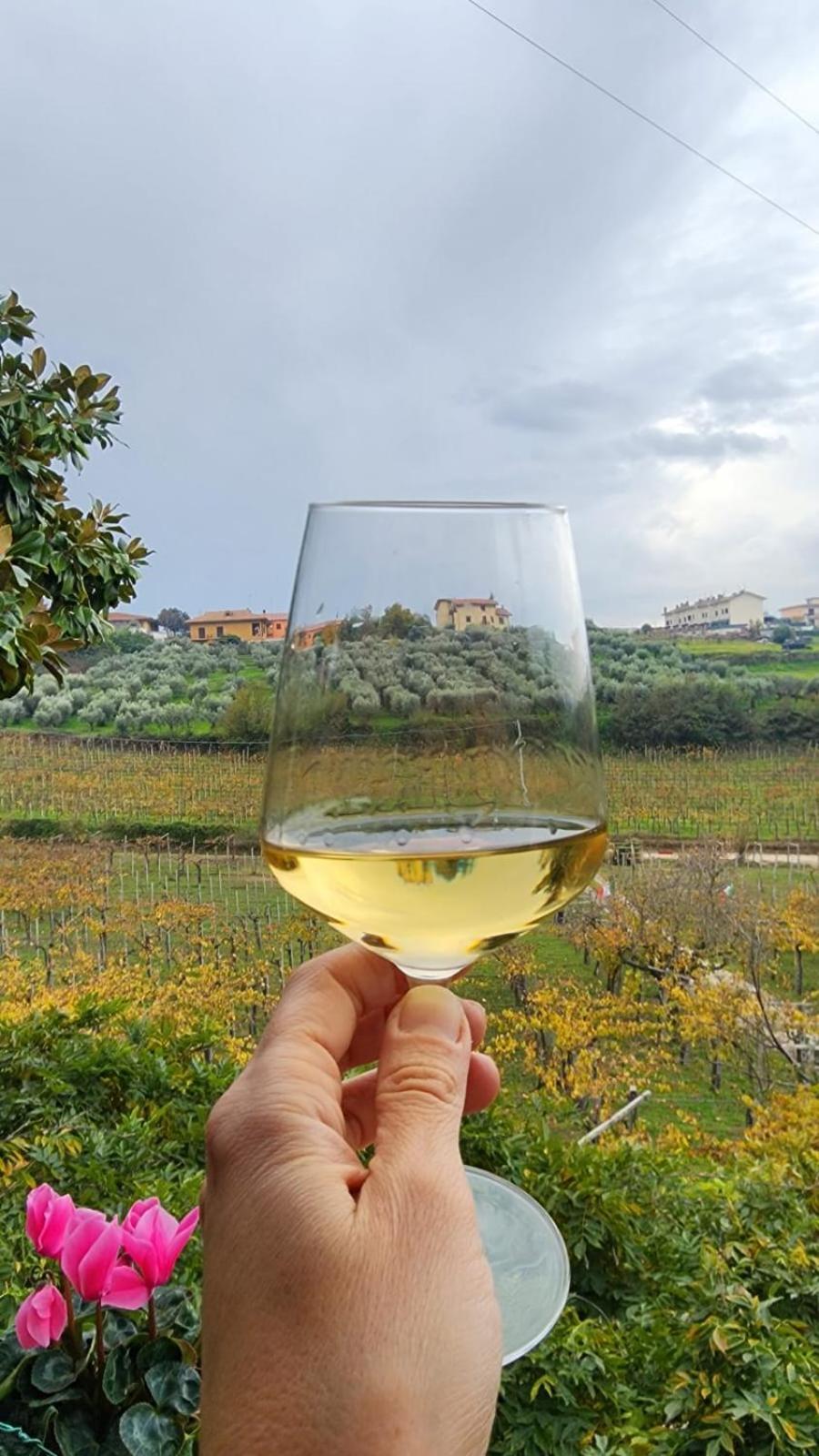 Poggio Agli Ulivi Villa Frascati Esterno foto